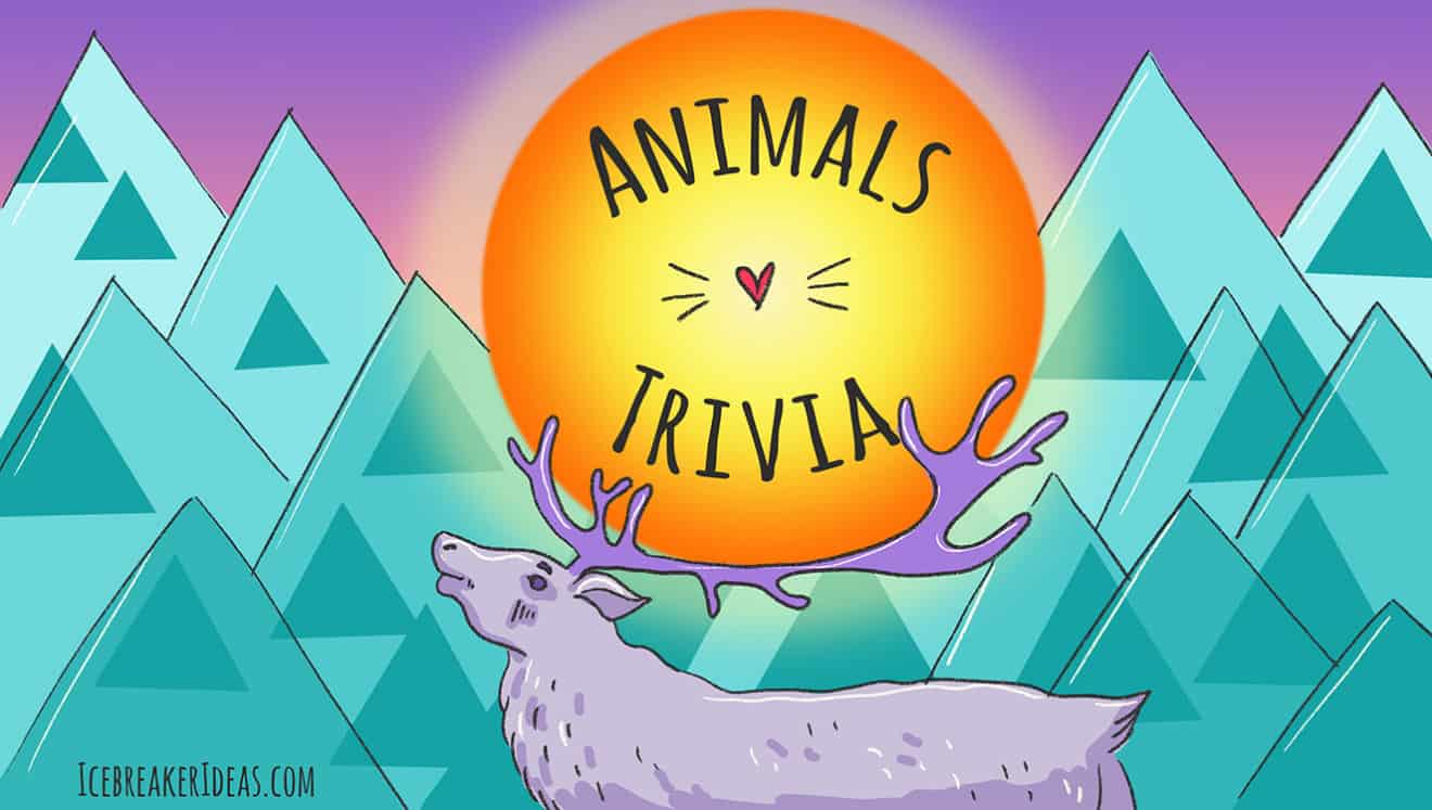 159 Animal Trivia Questions & Answers [for Kids & Adults]