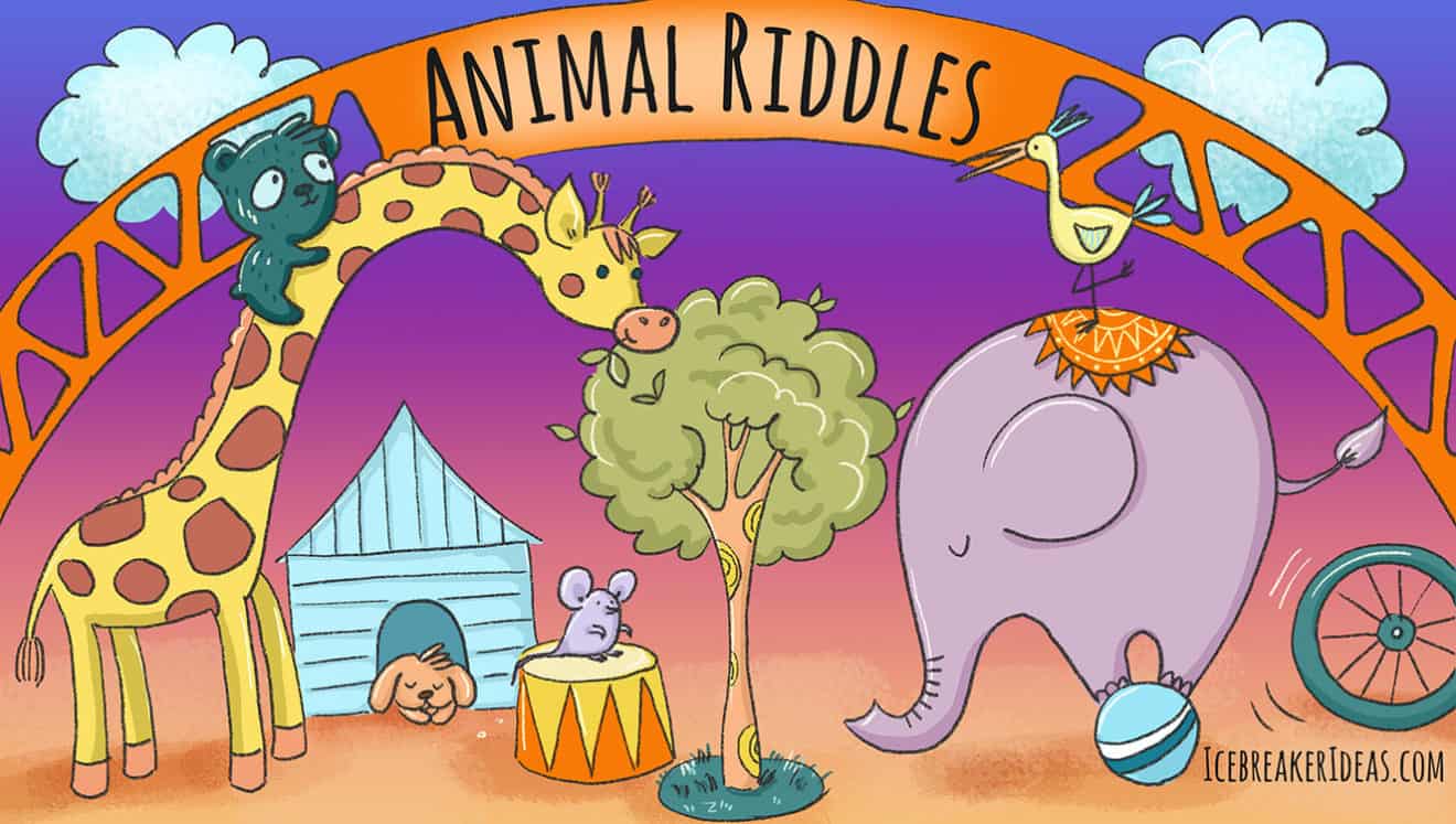 100 Funny Animal Riddles (For Kids & Adults) - IcebreakerIdeas