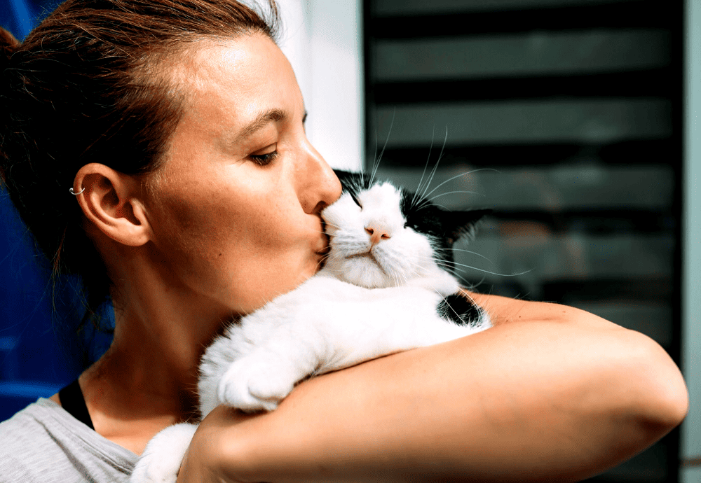 Basic White Girl For Gun Rights - Teach a cat to read, and you'll have a  smart cat. Teach a cat to read and shoot, and you'll have a guard cat.💪🏻