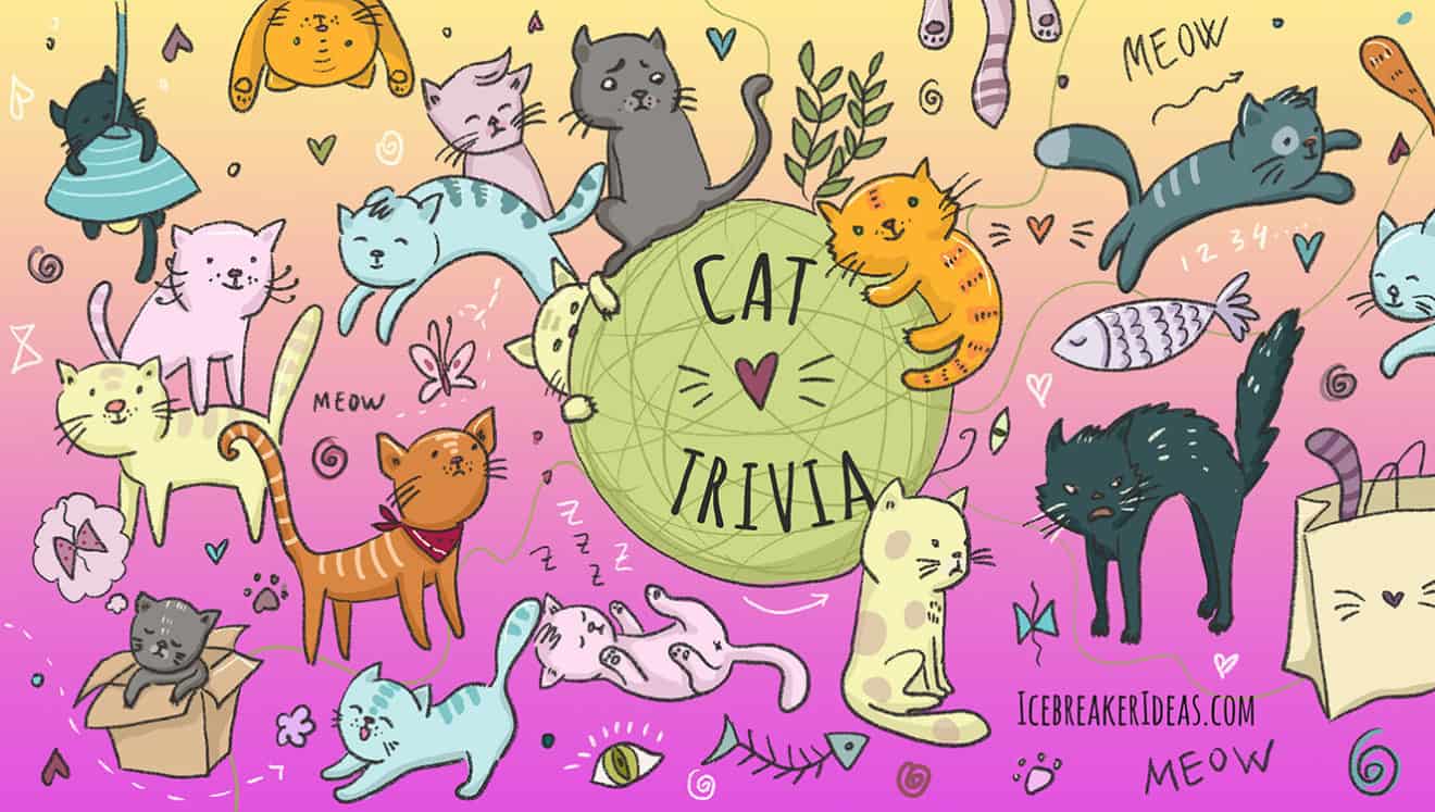 101 Great Cat Trivia Questions & Answers (+Facts) - IcebreakerIdeas