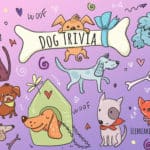 99 Amazing Dog Trivia Questions & Answers (+Facts)
