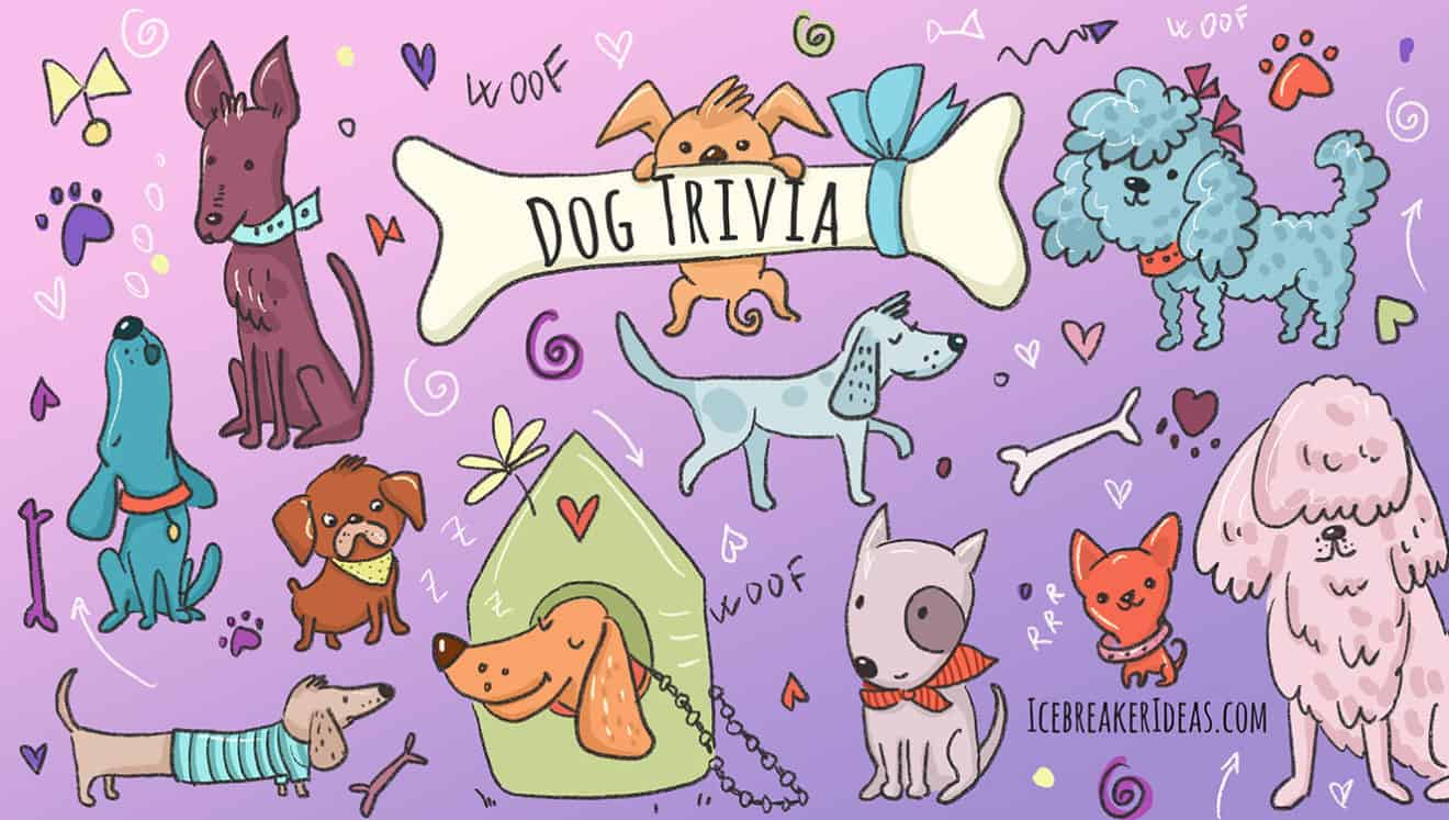 Dog Trivia Questions and Answers